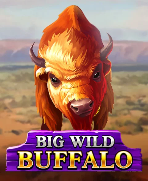 Play Big Wild Buffalo at Bingo Diamond Casino